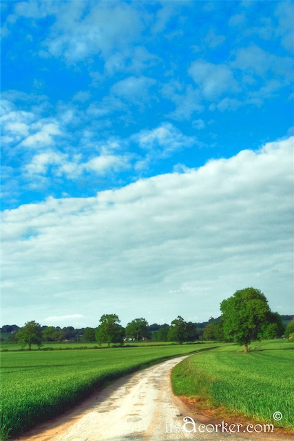 allestreetrackhdwm.jpg